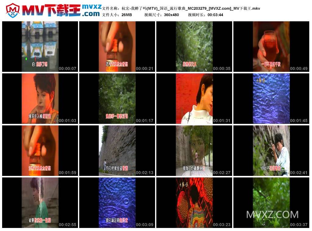 杭宏-我醉了吗(MTV)_国语_流行歌曲_MC203279